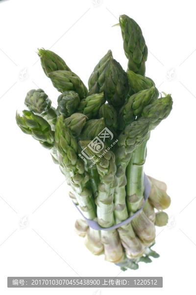 蘆筍堆