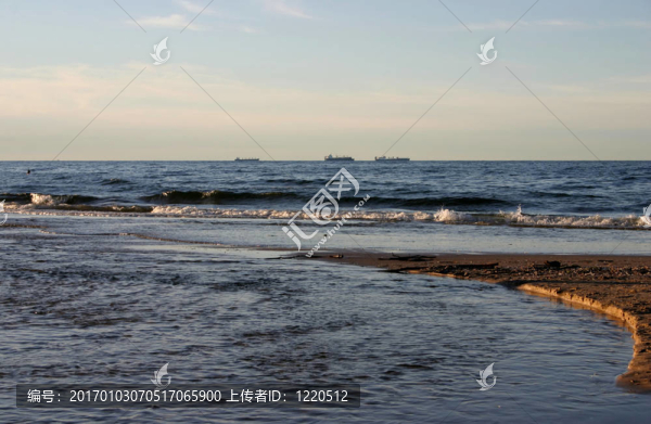 河的河口
