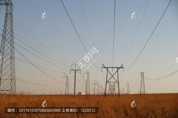 電力電纜