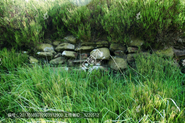 干Stone,Wall