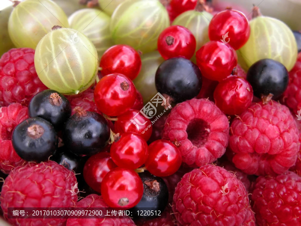 夏季；夏天