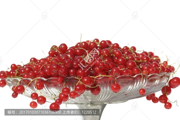 紅莓-匯圖網(wǎng) www.fosd68.com 紅莓