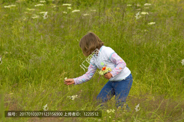 年輕的孩子采摘野花