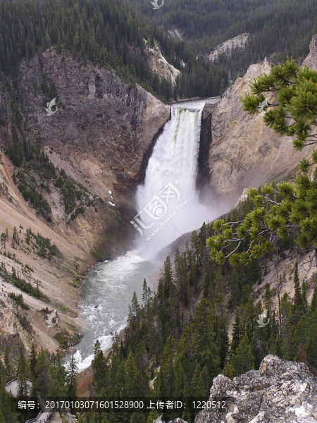 Canyon瀑布-,Yellowstone