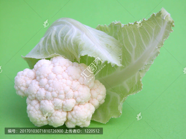 菜花