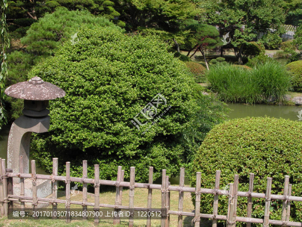 夏日的花園
