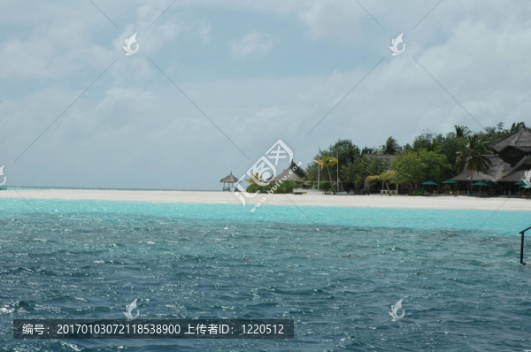 海洋