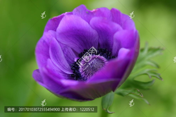 ?？姆捷? title=