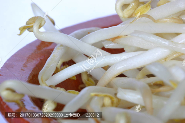 豆芽