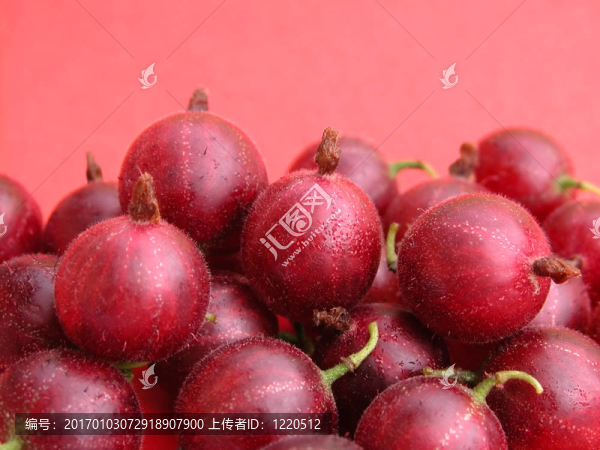 醋栗