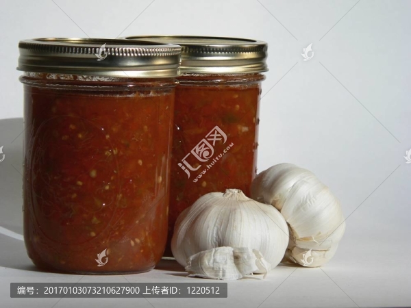 莎莎和Garlic