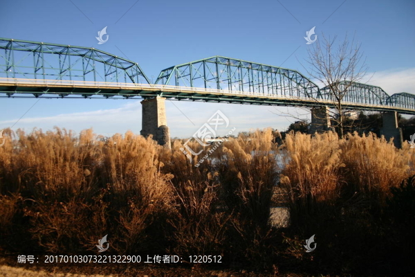 n草橋