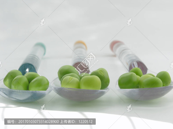 綠色的豌豆