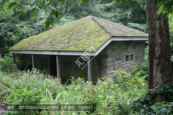 小屋在森林