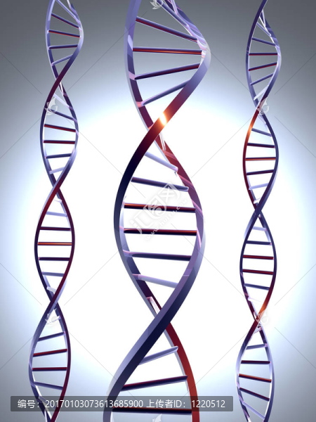 DNA,1