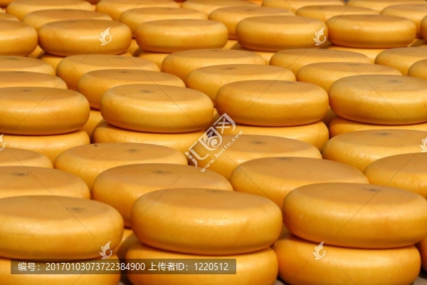 奶酪市場