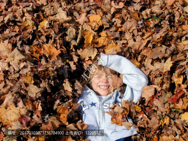 在樹(shù)葉的樂(lè)趣