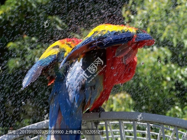 洗澡的時(shí)候