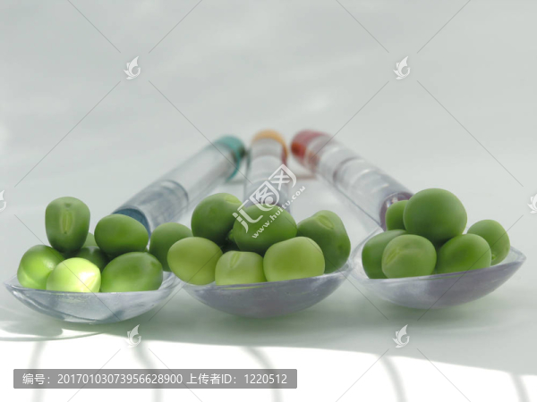 綠色的豌豆