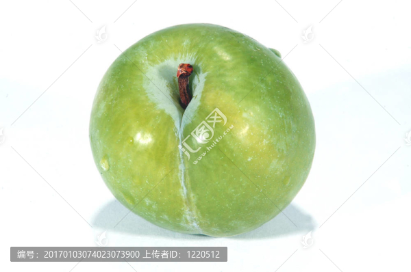 青梅