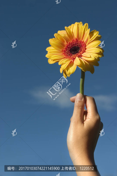 你的花