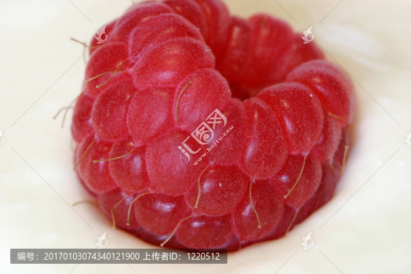 覆盆子