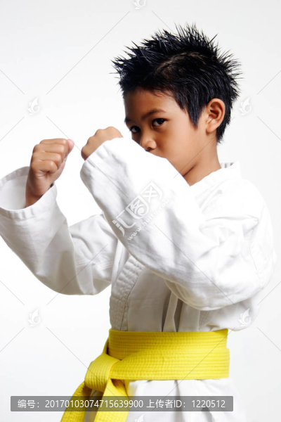 年輕的功夫小子