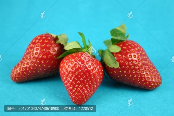 三草莓