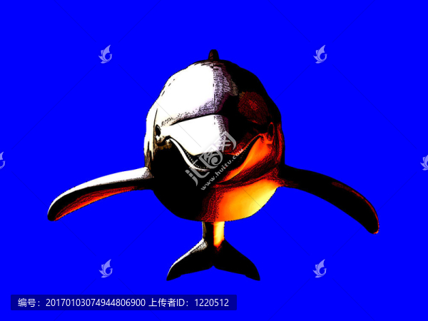海豚