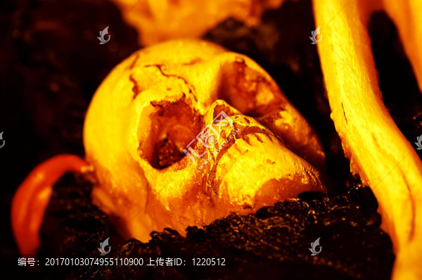 顱骨