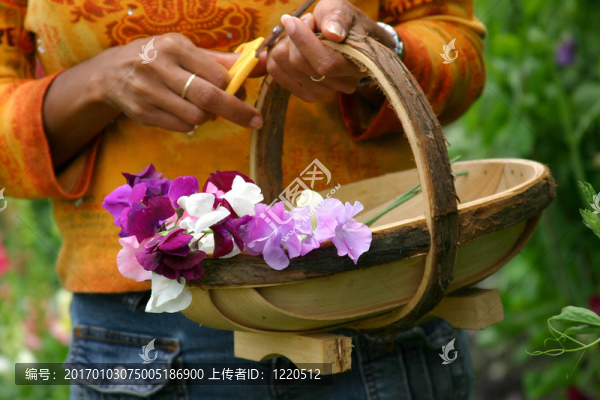 花籃