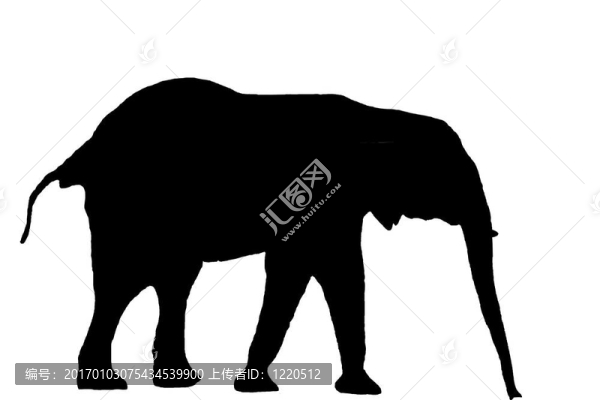 大象sillouette