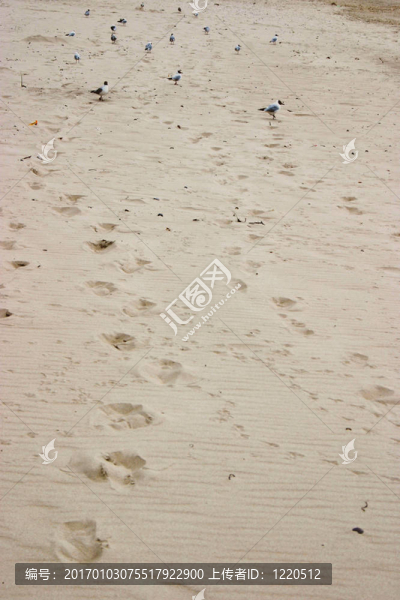 對砂的痕跡