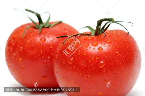 西紅柿的宏