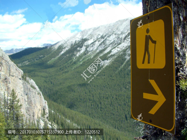 走這條路！