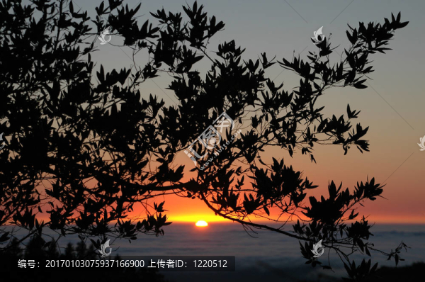 霧中的日落