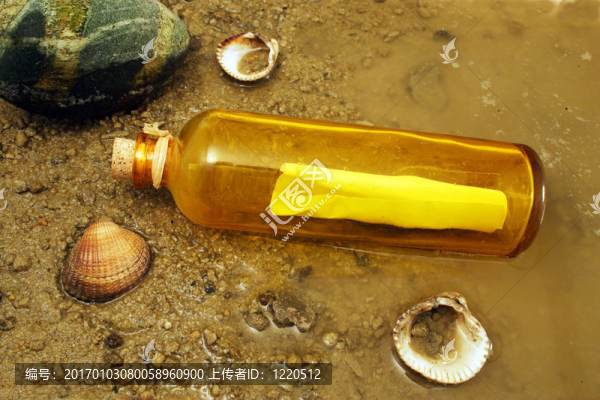 瓶子里的信息