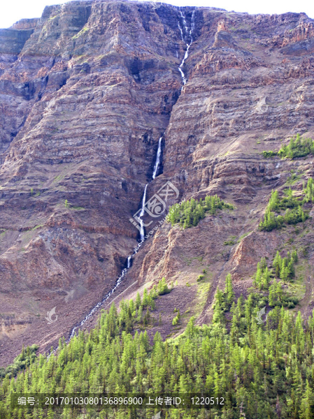 山
