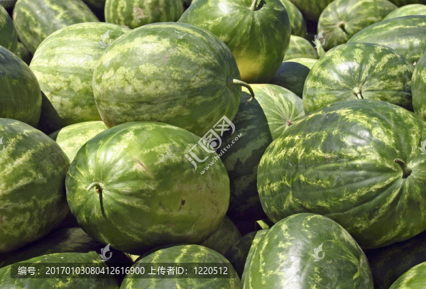夏天的天堂