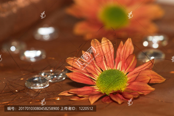 花3
