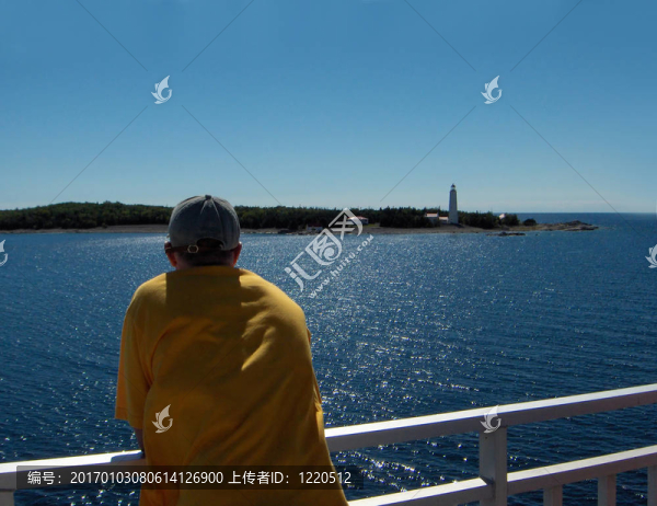 頂層視圖