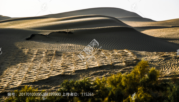 沙漠日出