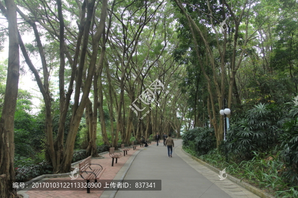 公園散步