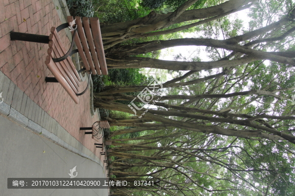 公園椅子