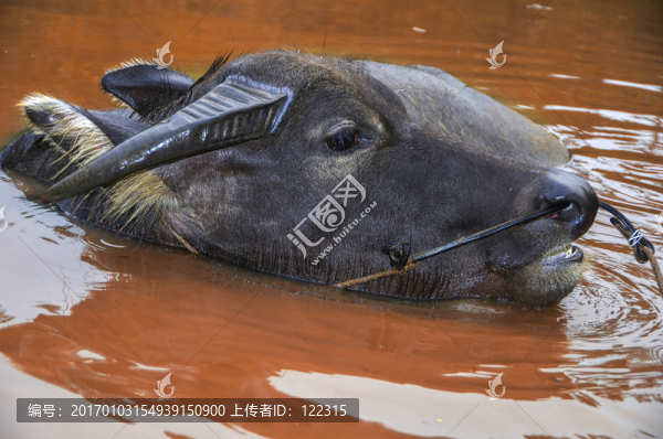 牛角