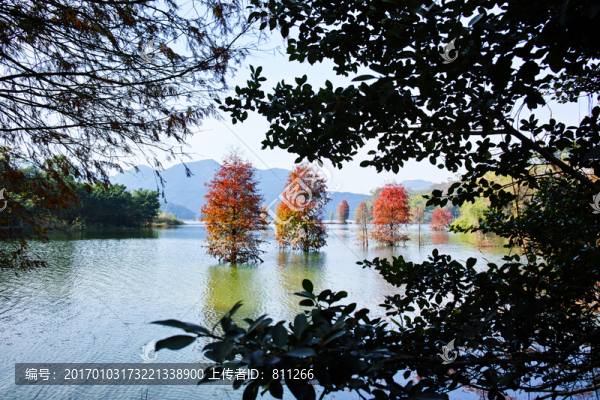 水彬