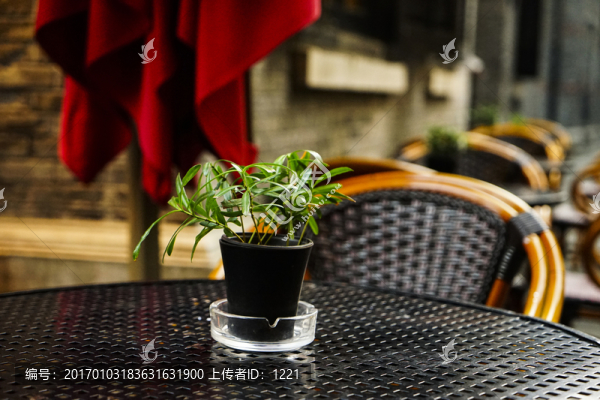 新天地餐飲