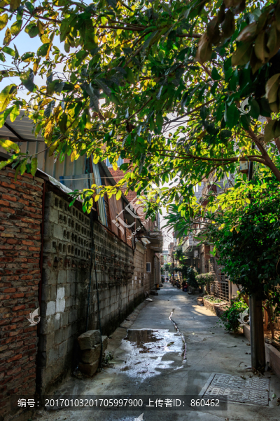 狹窄巷道,雜亂無(wú)章的住宅-匯圖網(wǎng) www.fosd68.com 狹窄巷道,雜亂無(wú)章的住宅