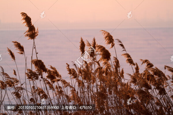 晚霞,冬天