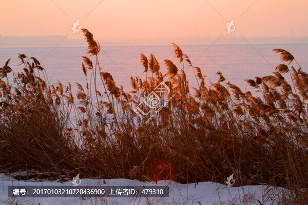 晚霞,冬天,日落,傍晚,黃昏